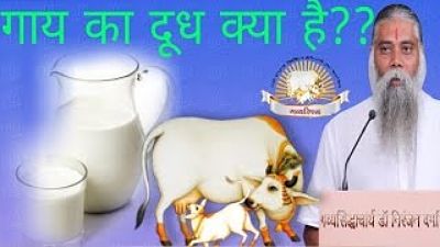 ภาพปกอัลบั้มเพลง गाय का दूध क्या है गौविज्ञान कथा सिंधुदुर्ग-गव्यसिद्धाचार्य निरंजन वर्माजी-4 70K)