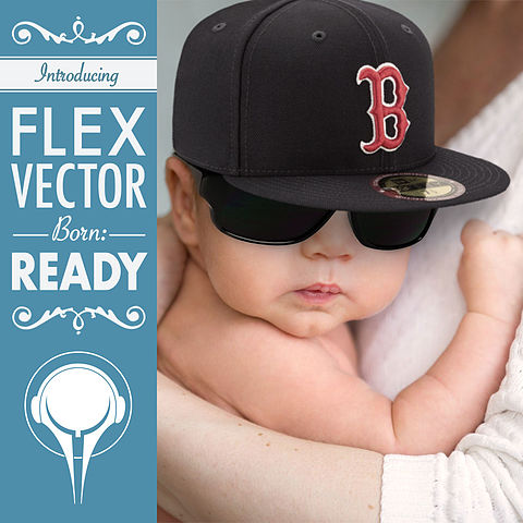 ภาพปกอัลบั้มเพลง Flex Vector - Born Ready