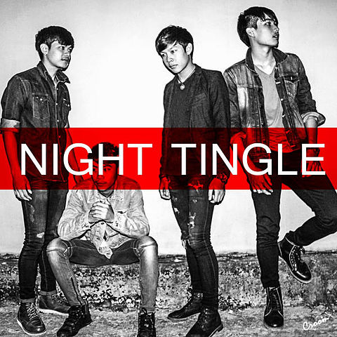 ภาพปกอัลบั้มเพลง เกินความจำเป็น - Night Tingle