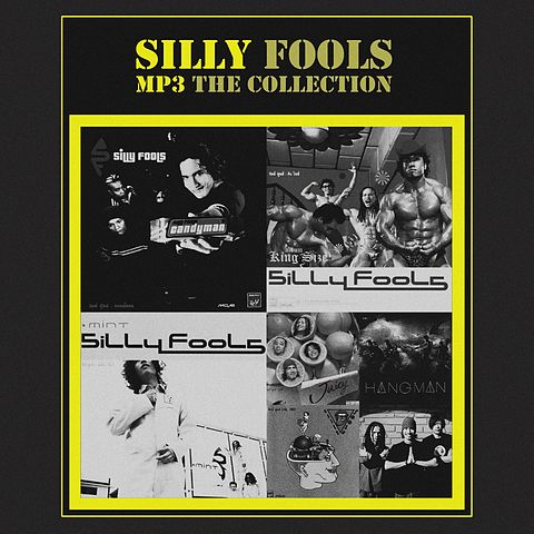 ภาพปกอัลบั้มเพลง SILLY FOOLS-ไม่