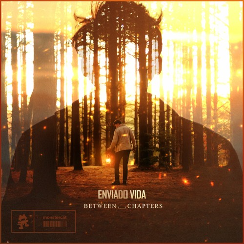 ภาพปกอัลบั้มเพลง Enviado Vida - La Vida