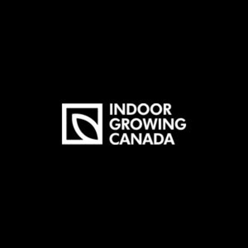 ภาพปกอัลบั้มเพลง LED Grow Lights Is Useful for Growing Plants Indoor Growing Canada