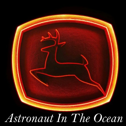 ภาพปกอัลบั้มเพลง Astronaut In The Ocean ( Remix)