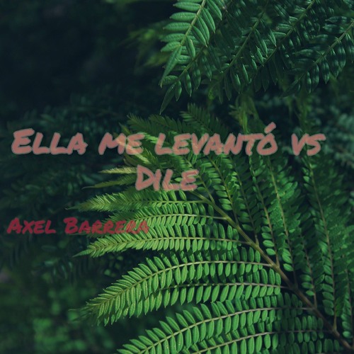 ภาพปกอัลบั้มเพลง Ella me levantó vs Dile (DJ Axel Barrera Mashup)