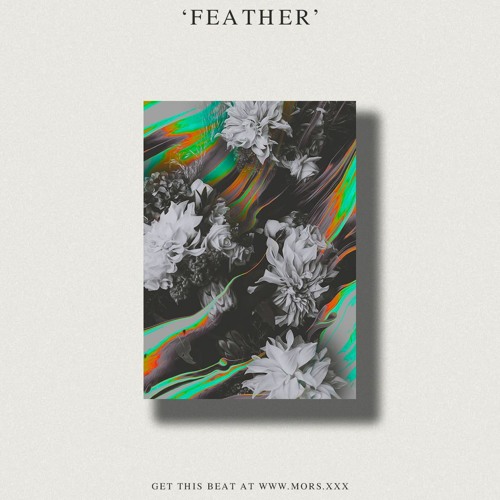 ภาพปกอัลบั้มเพลง Feather