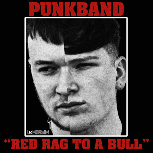 ภาพปกอัลบั้มเพลง Red Rag To A Bull
