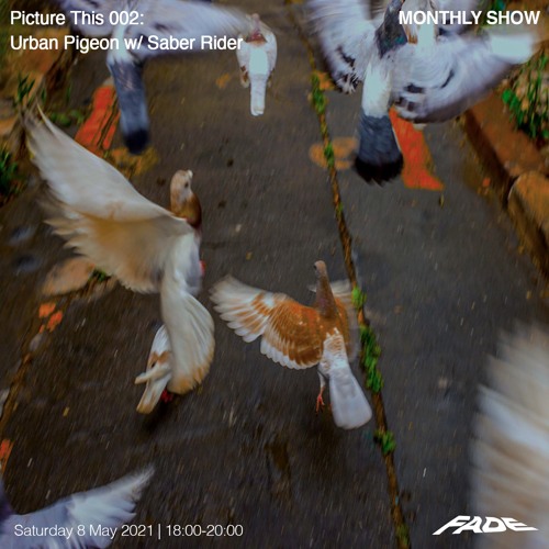 ภาพปกอัลบั้มเพลง Picture This 002- Urban Pigeon w Saber Rider (08 05 21)