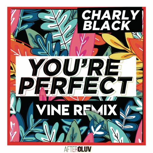 ภาพปกอัลบั้มเพลง Charly Black - You're Perfect (VINE Remix)