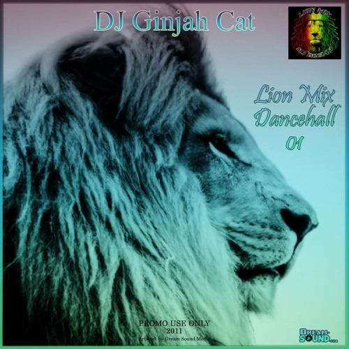 ภาพปกอัลบั้มเพลง Lion Mix - Glue Riddim Mix (Dancehall 2001 Ft T.O.K Bling Dawg Elephant Man Sean Paul Psycho)