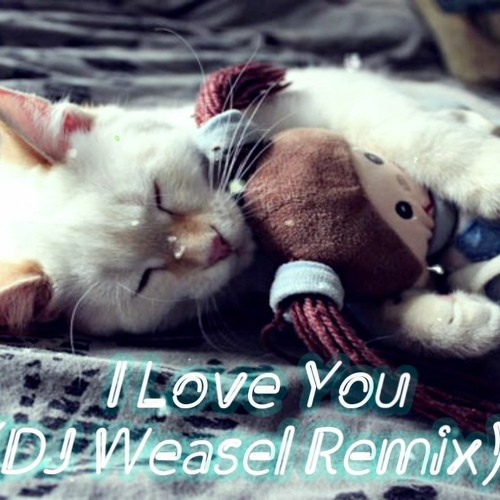ภาพปกอัลบั้มเพลง (DJ Weasel Remix)I Love You - DJ Kevin Rater