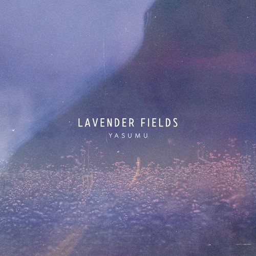 ภาพปกอัลบั้มเพลง Lavender Fields