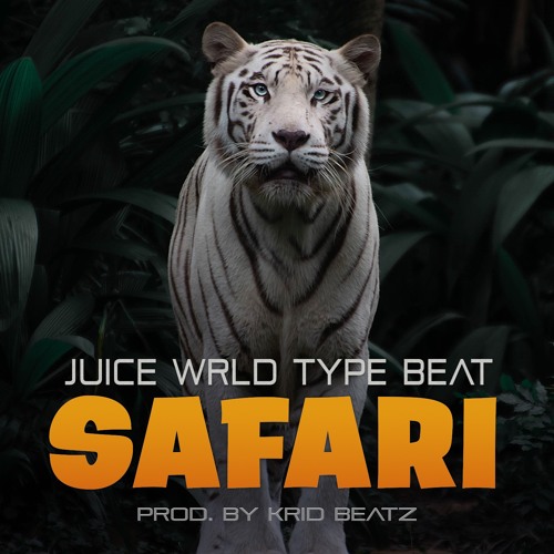 ภาพปกอัลบั้มเพลง Juice WRLD x The Kid Laroi Type Beat 2021 SAFARI The Kid Laroi New Beat