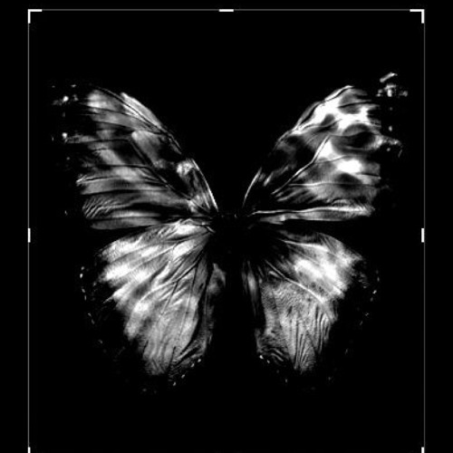 ภาพปกอัลบั้มเพลง j.una- 'butterfly' (nevertheless ost)
