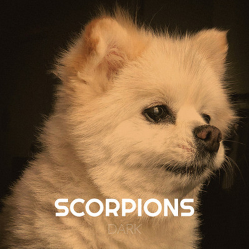 ภาพปกอัลบั้มเพลง Scorpions