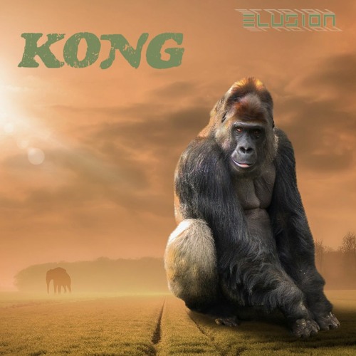 ภาพปกอัลบั้มเพลง KONG