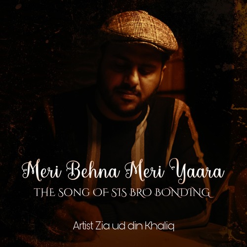 ภาพปกอัลบั้มเพลง Meri Behna Meri Yaara The Song of Sister Brother Bonding
