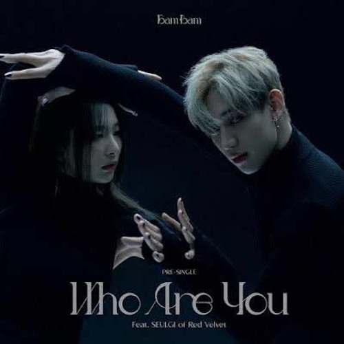 ภาพปกอัลบั้มเพลง BamBam Who Are You (Feat. seulgi of Red Velvet)