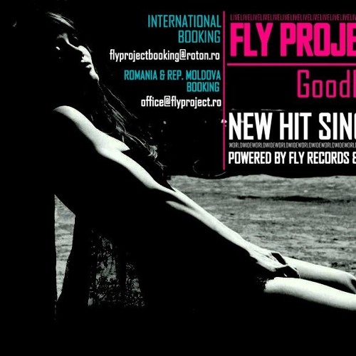 ภาพปกอัลบั้มเพลง FLY PROJECT - GoodBye (Fly Records Radio Edit)