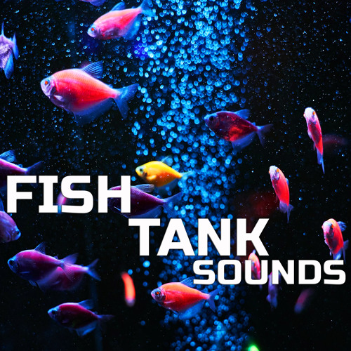ภาพปกอัลบั้มเพลง Aquarium Ambience 3D (feat. Nature Sounds Explorer Nature Sounds TM OurPlanet Soundscapes Paramount Nature Soundscapes Paramount White Noise & Paramount White Noise Soundscapes)