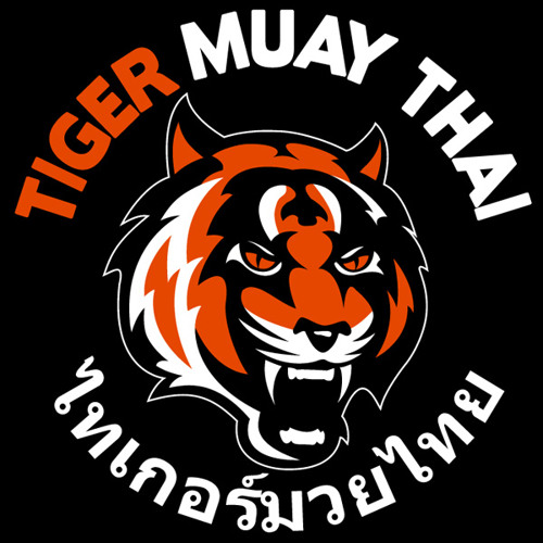 ภาพปกอัลบั้มเพลง MUAY THAI - มวยไทย - THAI BOXING TRADIONAL MUSIC