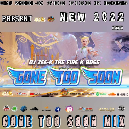 ภาพปกอัลบั้มเพลง Gone Too Soon Dancehall Mix May 2022 Falling Soldier Mix Lose a Friend Mix 2022 RIP Mix 2022