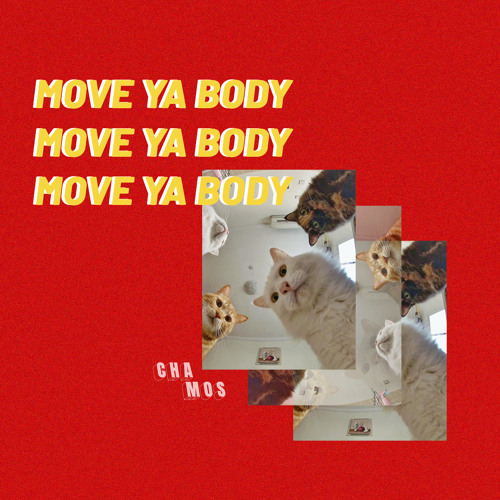 ภาพปกอัลบั้มเพลง Move Ya Body