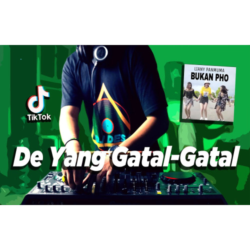 ภาพปกอัลบั้มเพลง DJ AHH MANTAP TIK TOK x TARIK SIS x DE YANG GATAL GATAL ! Bukan PHO ( DJ DESA Remix )