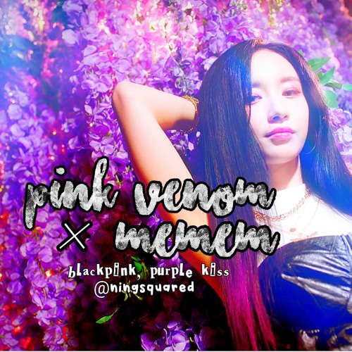 ภาพปกอัลบั้มเพลง blackpink purple kiss pink venom memem