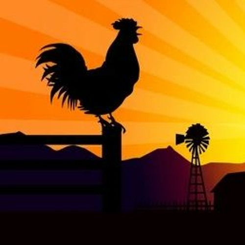 ภาพปกอัลบั้มเพลง A State Of Chicken Mix August Sunrise At The Chicken Farm