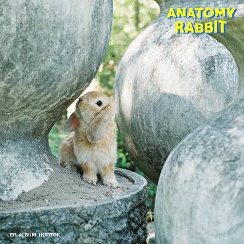 ภาพปกอัลบั้มเพลง ไม่ต้องมีคำบรรยาย - Anatomy Rabbit (Unofficial)
