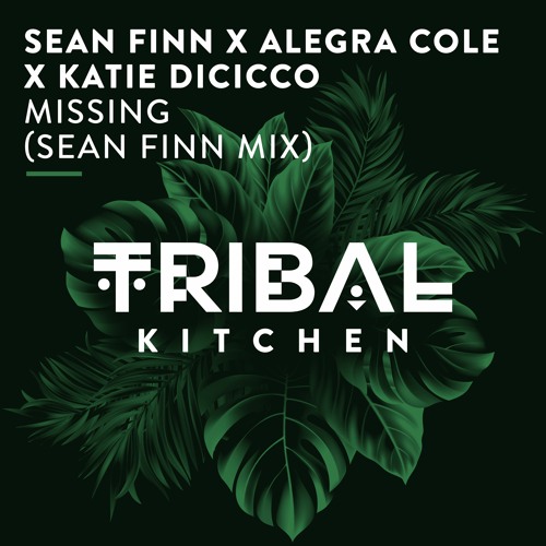ภาพปกอัลบั้มเพลง Sean Finn x Alegra Cole x Katie DiCicco - Missing (Sean Finn Radio Edit)