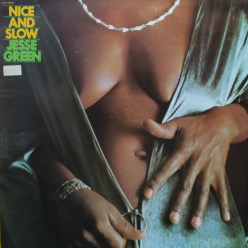 ภาพปกอัลบั้มเพลง Jesse Green - Nice & Slow (Don Diego Hayes Re-√ision)