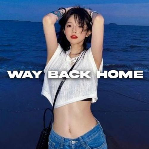 ภาพปกอัลบั้มเพลง 숀 (SHAUN) - Way Back Home KPOP Drill Remix(Prod. J Way)