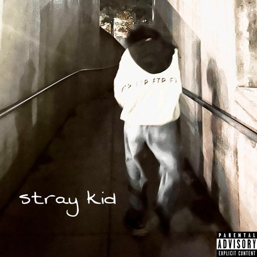 ภาพปกอัลบั้มเพลง stray kid
