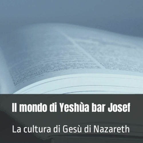 ภาพปกอัลบั้มเพลง ebook 📗 Il mondo di Yeshùa bar Josef La cultura di Gesù di Nazareth (Pensare di nuovo Dio) (Ita
