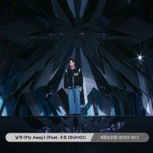 ภาพปกอัลบั้มเพลง exo-sc fly away (Feat. suho)