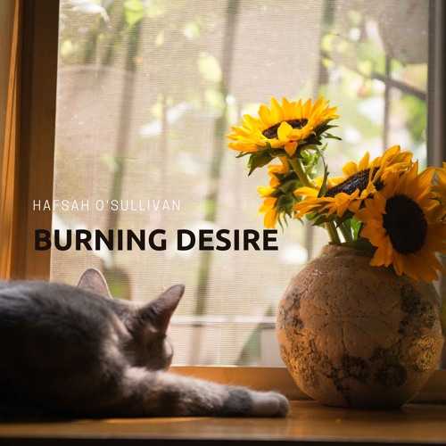 ภาพปกอัลบั้มเพลง Burning Desire