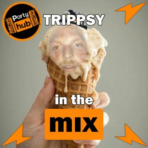 ภาพปกอัลบั้มเพลง TRIPPSY - I scream you scream we all scream for minimal Mix