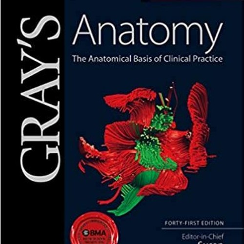 ภาพปกอัลบั้มเพลง Gray's Anatomy The Anatomical Basis of Clinical PracticeREAD⚡️PDF❤️eBook Gray's Anatomy The Anatom