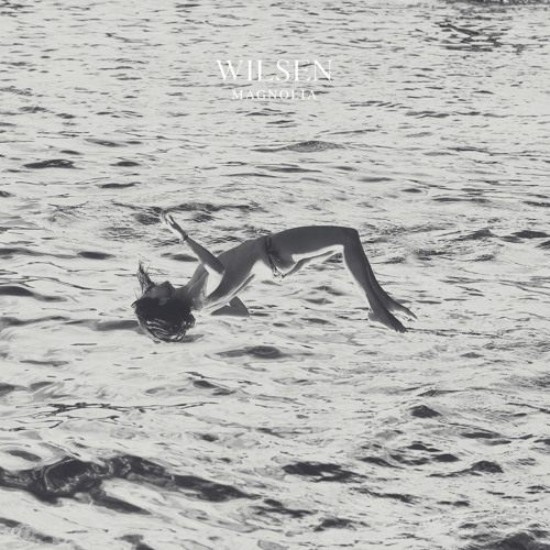 ภาพปกอัลบั้มเพลง Wilsen - Sea To Sea