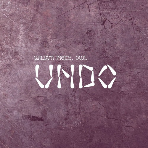 ภาพปกอัลบั้มเพลง Wiliam Price Owl - Undo (Original Mix)