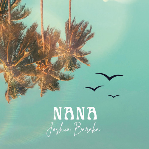 ภาพปกอัลบั้มเพลง NANA