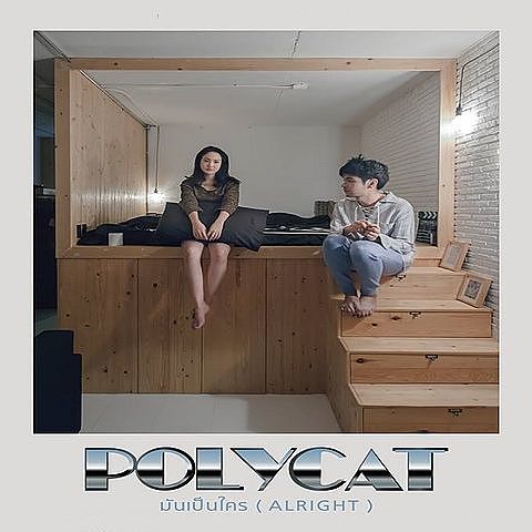 ภาพปกอัลบั้มเพลง มันเป็นใคร (Alright) - Polycat olo