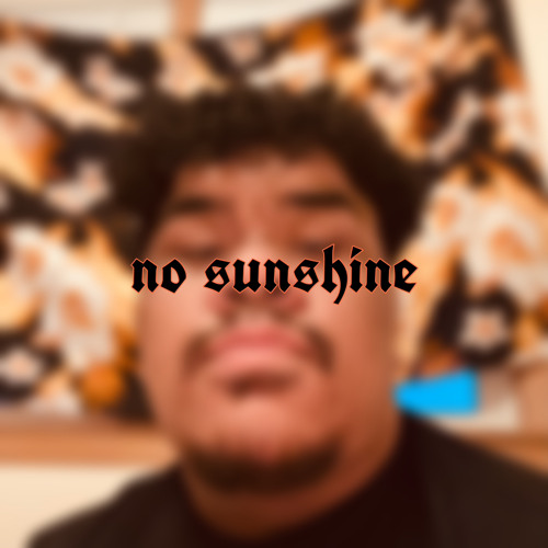 ภาพปกอัลบั้มเพลง No Sunshine