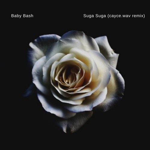 ภาพปกอัลบั้มเพลง Baby Bash - Suga Suga (cayce remix)