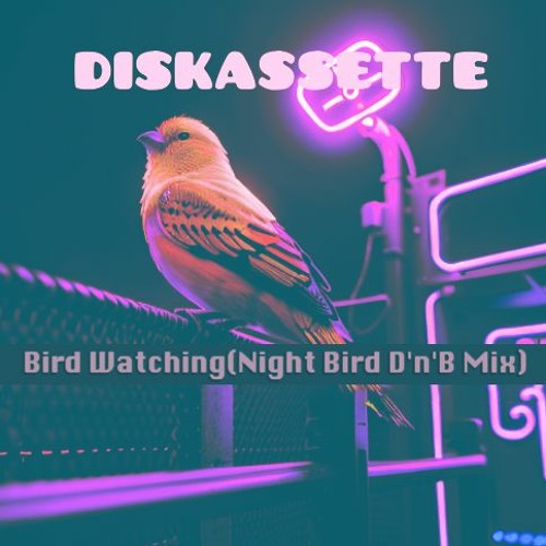 ภาพปกอัลบั้มเพลง Bird Watching(Night Bird D'n'B Mix)