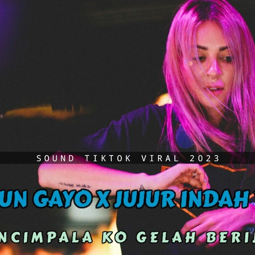 ภาพปกอัลบั้มเพลง DJ LUNGUN GAYO • DJ JUJUR INDAH YASTAMI • DJ TUNGKEK MAMBAOK RABA • SOUND TIKTOK VIRAL