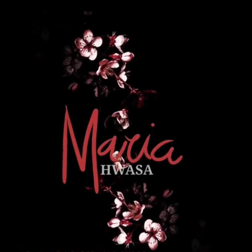 ภาพปกอัลบั้มเพลง MARIA HWA SA - ducmeo remix
