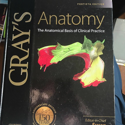 ภาพปกอัลบั้มเพลง PDF BOOK DOWNLOAD Gray's Anatomy The Anatomical Basis of Clinical Practice 150