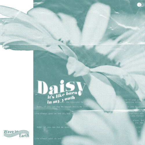 ภาพปกอัลบั้มเพลง daisy.